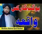 Maulana Haleem Syed Hashmi