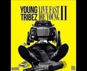 Young Tribez