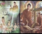 PhápThoại Đức Phật Thích Ca Mâu Ni
