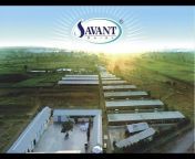 Savant Pvt Ltd.