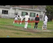 Bay Area Cricket Club