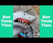 Best Funny Vines