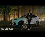 Discover Lexus