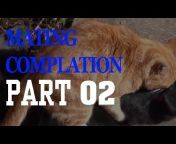 MATING COMPILATION