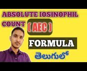 Akhil Telugu Vlogs