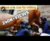 all about milking
