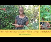 HHG STUDIOS JAMAICA - Health, Home u0026 Garden!