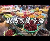 Snail journey in China &#124; 蜗牛旅途
