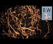 Bilsdale Worms