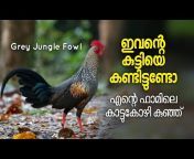 Poultry Media