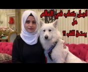 شابة عربية عزباء وجميلة تعاشر كلب 7 ساعات في اليوم وتفعل معه شي ...