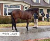 It was a constellation of stars on parade at Lane&#39;s End Press Pass 2020, where Bill Farish and the Lane&#39;s End team showed off their superstar lineup of stallions to the media.
