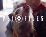 In 2029, an Animal Psychic Crime Whisperer taps into animals’ minds to solve crimes while working under the umbrella of a taxpayer-money-hemorrhaging F.B.I. Pet Files Division. Official Selection, 2019 Borscht Film Festival.nnCASTnPipus the Wise -