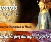 El P. Ángel Mª Rojas, sacerdote jesuita y teólogo, habla de la virginidad de María durante el parto. Este tema ha sido muy discutido —incluso en la actualidad— por distintos teólogos, pero, al mismo tiempo, ha sido siempre ratificado por el Magisterio de la Iglesia y su Tradición en todas las épocas de la historia.nnMás vídeos de &#39;Marcando el Norte&#39;: https://www.eukmamie.org/es/marcando-el-nortenMás vídeos de HM Televisión: https://www.eukmamie.org