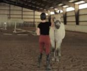 This is Elliot. He is a PMU rescue that is owned by my trainer. He is such a sweet horse and has just started to become a lesson horse. I have worked with him for a few months now, and have even taken him to a couple shows. He has had no training with the Dully Halter so I thought he&#39;d be perfect for my first video.nnAfter watching this video I noticed that(in the beginning)I have a small loop in my coils, so I will have to pay more attention to that. I also think that I could have been more dem