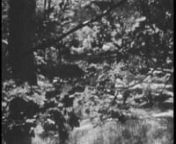 The film is called &#39;Nothing in Nowhere&#39;. nnThe film is acrylic ink painted on Kodak Tri-X (black and white) super 8mm film. nIt was shot in various locations, such as the Lake District and Lincolnshire.