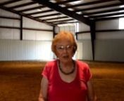AGN TV Horse program changes woman's life from tv agn