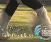Horse of the Gypsies - Story of the Gypsy Vanner Horse by Mark and Jackie Barrett.