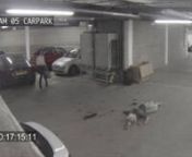 Cameras rolling, colleague laying ‘dead’ and unsuspecting victims lured into a desolate car park, alone...What will they do?