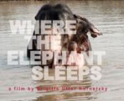 „A soul-searing masterpiece calling humanity awake to Elephant consciousness and salvation.“u2028G.A. Bradshaw Ph.D Ph.Du2028author of Elephants on the Edge: What Animals Teach Us About Humanityn„This film has accomplished something very rare which no words can put into place.“u2028Suparna Ganguly, CUPA/WRRCnnIllustrated Sanskrit books from the Maharaja era replace English medicine in the struggle to save elephants in Elephant Village.u2028Numerous fever daemons plague these elephants. C