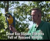 Come celebrate Planet Earth with the STARs! On Sunday, April 17th, 2016, the eco-friendly folks here at the STAR Eco Station and STAR Education are throwing our 16th Annual Children’s Earth Day Extravaganza in the only way we know how...HUGE! GREEN! AND FOR ALL AGES! This mega celebration will feature exotic wildlife, student performances, eco-friendly games and rides, face painting, tons of food, celebrity guests from Disney, ABC, Nickelodeon and more! Did we mention that admission is FREE?!n