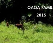 Qaqa Family 2015 from qaqa