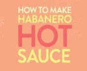 If you&#39;ve ever wondered how to make a delicious and insanely spicy habanero hot sauce that&#39;ll kick your ass; here&#39;s how I do it.
