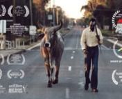 When Martin, a South Sudanese refugee, happens upon a bull he believes is his spiritual totem, he decides to rescue it from the abattoir he works in. Once home, the bull begins to jeopardise Martin’s family’s chance at fitting in. Martin is torn between his ancient cultural identity and his family’s new life in Australia. Written &amp; Directed by Eddy Bell - https://vimeo.com/user9353044