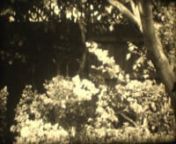 A short, silent, black and white, Super 8 film I made in 1994 as a university student. It has only been seen by 1 or 2 people as far as I can recall. The second film I ever made, it was recently unearthed from a box in my parents&#39; shed. Time has taken its toll on the original which I edited by hand.nThe film is an exploration of a beautiful girl&#39;s self-concept and self-esteem as well as her ability to recognise beauty in herself and in her world. The title came from a Nirvana song, About a girl.