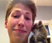 Lil Guy Tried To Meow! #VINE BY PAPA FALCON from papa meow