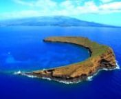 Molokini features flourishing marine life in exceptionally clear water with visibility in excess of 150 feet. Turtle Town is bordered by a vibrant coral reef on lava formations, which is very attractive to sea turtles. This 5-hour trip that includes snorkeling at Molokini and Turtle Town features unsurpassed onboard amenities, impeccable service and expert crew, complimentary breakfast and BBQ lunch, fully stocked open bar with microbrew beers, wine and Mai Tais; snuba, scuba and video services