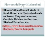 BloomsVilla provides flower delivery service in the following top locations in Hyderabad- Banjara Hills, Jublee Hills, Gachibowli, Kukatpally, Miyapur, Kompally, Attapur, Manikonda, Shadnagar, Vanasthalipuram, Kondapur, Sainikpuri, Nallagandla, Uppal, Abids, Begumpet, Madhapurand, Secunderabad, Uppal Kalan, Bachupally, Ameerpet, Old City, Nizampet, Marredpally, Pragathi Nagar, LB Nagar, Tolichowki, Patancheru, Basheerbagh, Hayathnagar, Bolarum, Malkajgiri, Quthbullapur, Mallapur, Shamirpet, Bala