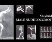 Muybridge was not only a pioneer of cinema history, but also a pioneer of male nude photography. This video has been realised animating his photographic sequences collected in the Animal Locomotion.