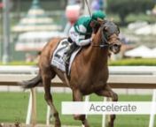 Accelerate, widely regarded as the best older horse of 2018, will stand at Lane&#39;s End Farm upon his retirement, the farm announced today. The electric winner of the Pacific Classic still has some races in his arsenal, Farish tells us.