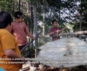 Tourné sur trois années lors des camps de transmission culturel du Projet Matakan, dans la communauté atikamekw de Manawan, ce documentaire tente de démontrer l’urgence d’agir pour assurer une pérennité du patrimoine et de la culture atikamekw.