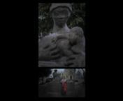 According to the São Paulo City Hall website, Members of Clube 220, an entity that brought together black associations from the State of São Paulo, decided to erect a monument to Mãe Preta (Black Mother) in São Paulo in the early 1950s. The statue shows a black woman who breastfeeds her son, while also extolling the figure of a black nanny who raised white children in colonial times. The 1955 sculpture located in Largo do Paissandu, next to the Nossa Senhora do Rosário dos Homens Pretos c