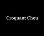 SUB_CROQUANT_A_FINAL from croquant