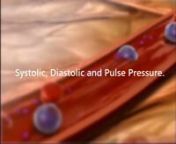 SB1_Slide 16_Systolic, Diastolic, Pulse Pressure_1080px from sb1