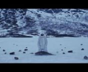 A film by Trond Ansten in collaboration with Benjamin Breitkopf, Alice Rombach, Elenya Bannert &amp; Lukas GieslernnnProduced 2015 Full film duration 27:13minnnnEXPOSÉnThe Arctic. At a glimpse it may all appear white. But there is many shades of whiteness. The curtain behind our metaphoric epos is the shade of polar-imperialism, a non