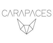 Carapaces is a new, hybride )nnHow does it work?nnCarapaces is so easy to use: Just clip to create. The 100-piece set features 10 different clip-on triangles. To start your first creation, just take 2 triangles, clip the 2 sides of the same length with a simple pressure. You can either follow the instructions in the booklet or follow your intuition to make your own sculptures. You can clip and unclip your creations a lot of times very easily. The triangles can be used to make new creations. Each