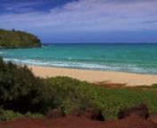 PART 1 OF 4: KAUAI: Discover the best beaches from 4 Hawaiian Islands: Kauai, Oahu, Maui, &amp; Hawaii. Shot in full 1080p HD with all Natural 5.1 surround sound, you&#39;ll feel the waves lapping at your toes. Enjoy 90 mins of soothing waves and 4 scenic sunsets. Bonus 22 min. Music Video recut and remix with 6 soundtracks from Hawaiian to Piano and New Age to Nature sounds. Visit WavesDVD.com for the #1 Relaxation Nature Videos on DVD and Blu-Ray.