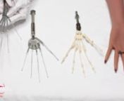 FunWest Doll provides three hand skeleton options: regular wired fingers, wired fingers with a wrist joint, and articulated finger joints. The articulated finger joints offer more realistic poses and versatile positioning.