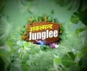 Akalmand Junglee S01E01 (2023) Hindi Hot Web Series Besharams &#124;&#124; AAGmaalnn#HindiHotWebSeries #HindiWebSeries #WebSeries #Web #Series #AAGmaal #Besharams #BesharamsWebSeries #HotWebSeries