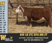 NJW - Lot 99K from njw