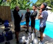 Instructorat ADIP à Panglao aux Philippines chez French Touch Diving centre de plongée francophone