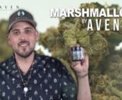 Marshmallow by AvenuennMarshmallow is said to come from crossing OG Kush with an unknown strain. Although its second parent is unknown due to breeder secrecy, Marshmallow is thought to be a descendent of the Bubble Gum family because of its sweet candy flavor and relaxing effects. Like the campfire treat it’s named after. The Marshmallow has a super sweet candy flavor accented by nutty honey and a touch of fruitiness. The aroma is just as sweet, with a marshmallow overtone. This batch has 24.8