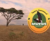 Mwewe Promo Video 245 from mwewe