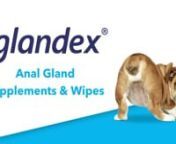 Glandex is an oral supplement specifically designed for dog &amp; cat anal gland health. Glandex&#39;s patented scientific formula works in multiple ways to keep pet anal glands healthy and is a better alternative to frequent anal gland expressing which can further irritate the anal glands.nnGlandex uses a unique fiber blend to help promote bulky and firm stools, which in turn support the natural emptying of the anal glands every time your pet defecates. Glandex also contains other key ingredients i