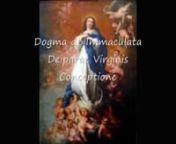 Dogma de Immaculata Deiparae Virginis Conceptione declaratum est a SS. Pio IX P.M.nnhttp://www.zazzle.com/provaticanus/immaculate+giftsnnhttp://ProVaticanus.blogspot.com/2010/12/dogma-de-immaculata-deiparae-virginis_06.htmlnn