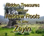 The Hebrew Language nPastor Mark Biltz n2/06/2012 nThe Letter ZAYINnnQuick review: Aleph represents the Father who sent His Son represented by the letter beit nnJohn 3:16,17 For God so loved the world, that he gave his only begotten Son, that whosoever believeth in him should not perish, but have everlasting life. For God sent not his Son into the world to condemn the world; but that the world through him might be saved. Who sent His Son “housed” in flesh, Beit, nnJohn 1:14 And the Word was